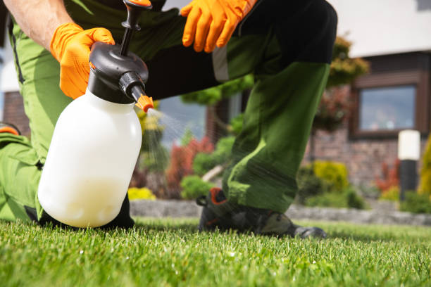 Best Affordable Pest Control Services  in Olga, FL