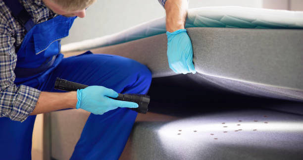 Best Affordable Pest Control Services  in Olga, FL